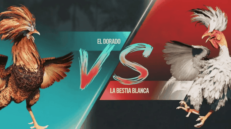 23jogo